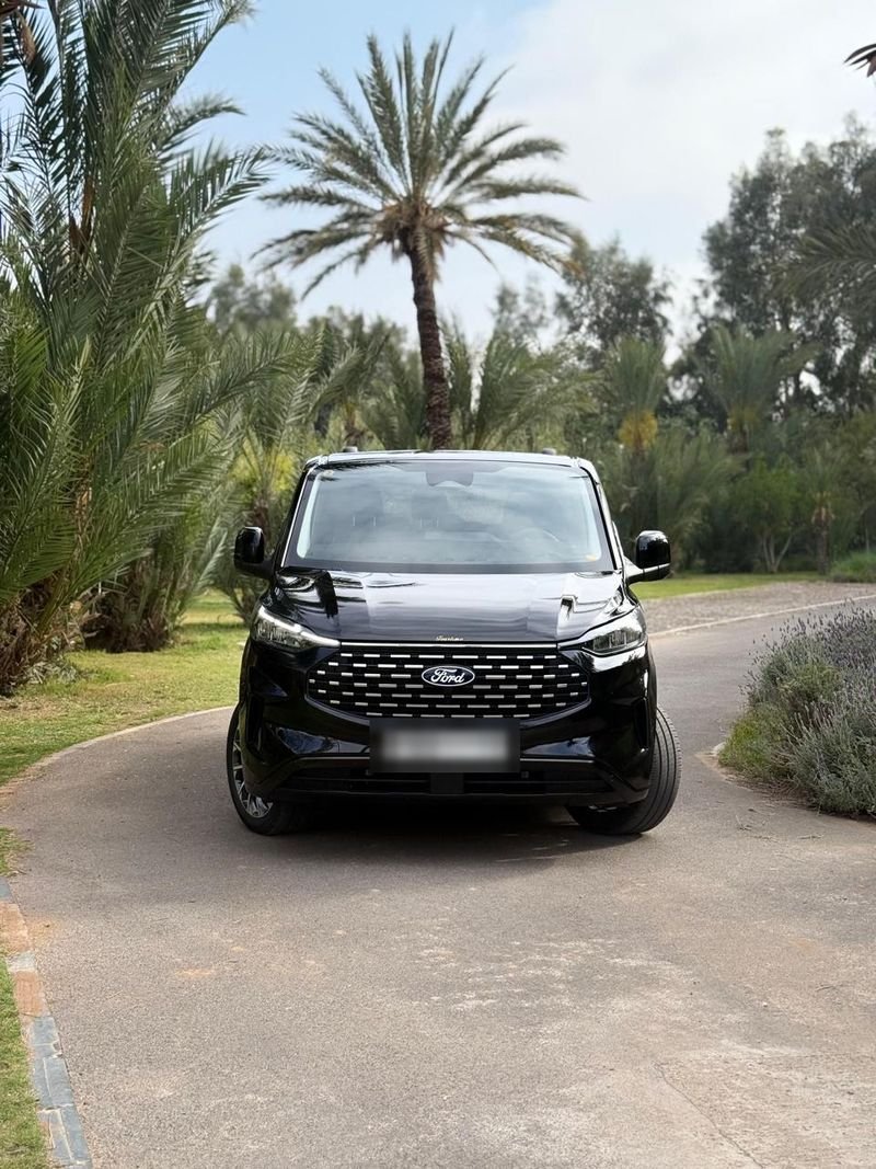 Our black van among the palm trees in Marrakech